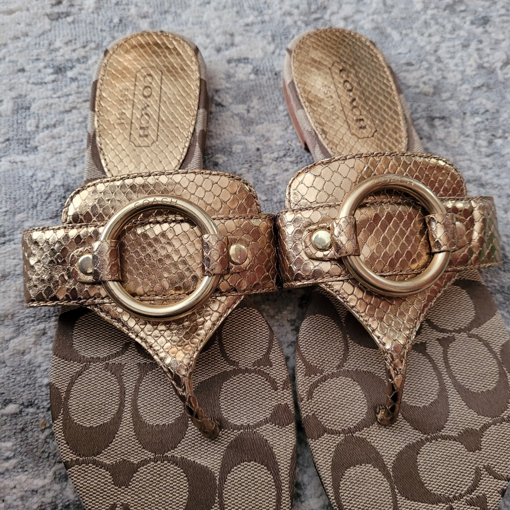 Coach Ritah gold snake skin flip flops